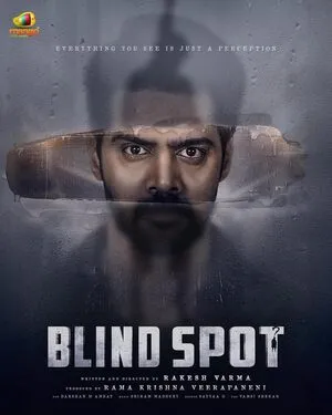 Blind Spot 2025 Hindi Dual Audio