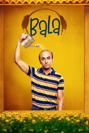 Bala 2019 Hindi Movie [1GB]