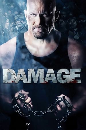 Damage 2009 Hindi Dual Audio [970MB]