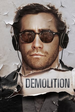 Demolition 2015 Dual Audio Hindi [900MB] ESubs