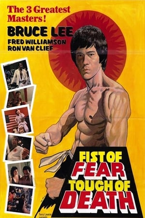 Fist of Fear Touch of Death 1980 Hindi Dual Audio 300MB