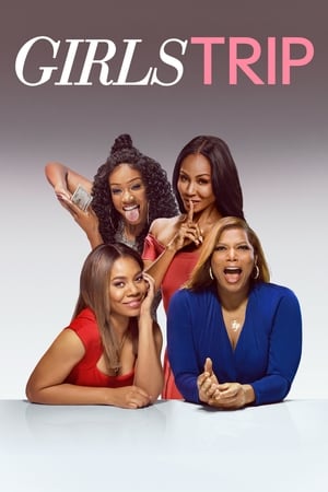 Girls Trip (2017) Hindi Dual Audio [1GB]