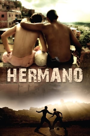 Hermano 2010 Hindi Dual Audio 300MB