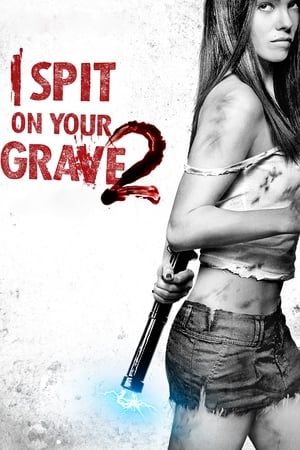 I Spit on Your Grave 2 (2013) Hindi Dual Audio –