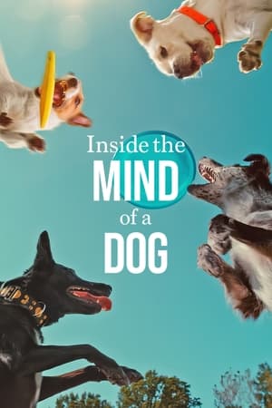 Inside the Mind of a Dog 2024 Hindi Dual Audio – 720p –