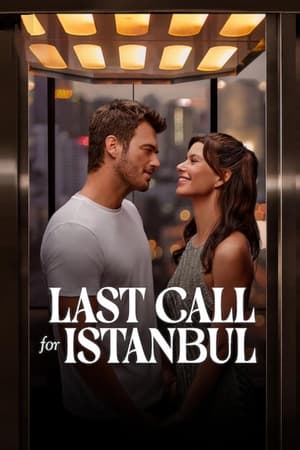 Last Call for Istanbul 2023 Hindi Dual Audio –