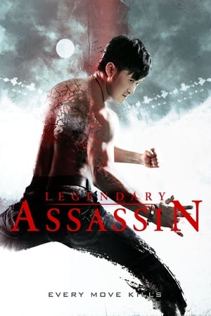 Legendary (2013) Hindi Dual Audio [1GB]