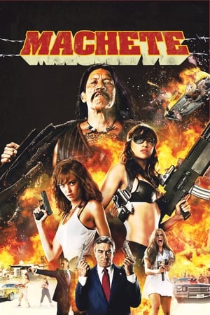 Machete 2010 Hindi Dual Audio 300MB