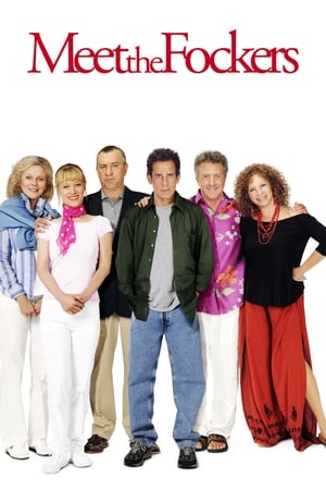 Meet the Fockers (2004) Hindi Dual Audio 380MB