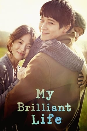 My Brilliant Life (2014) Hindi Dual Audio – 720p –