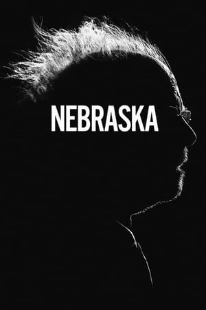 Nebraska 2013 Dual Audio Hindi 300MB