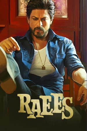 Raees 2017 Full Movie [1.2GB] Download