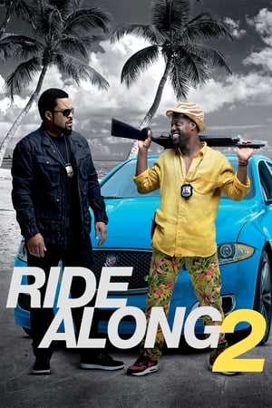 Ride Along 2 2016 Hindi Dual Audio Full Movie - 900MB
