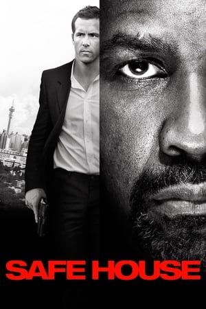 Safe House 2012 100mb Hindi Dual Audio movie Download