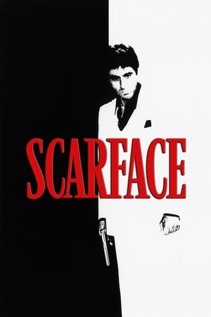 Scarface (1983) Dual Audio Hindi 500MB