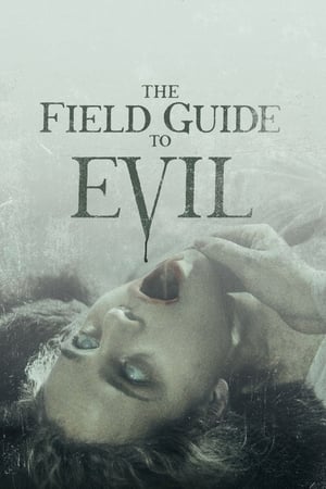 The Field Guide to Evil 2018 Hindi Dual Audio 350MB