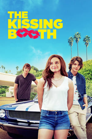 The Kissing Booth 2018 Hindi Dual Audio 350MB
