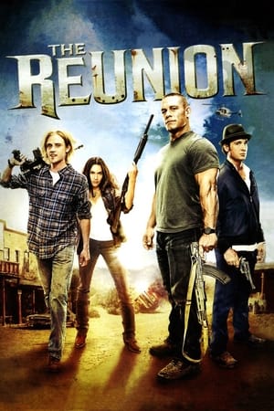 The Reunion (2011) Hindi Dual Audio 300MB