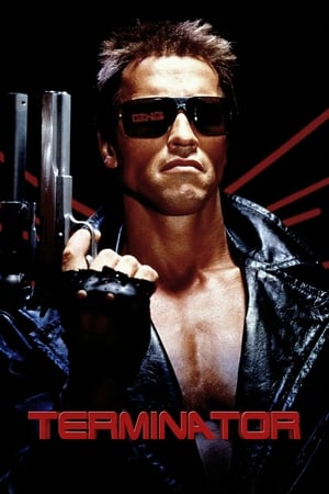 The Terminator (1984) Hindi Dual Audio [800MB]