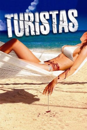 Turistas (2006) Dual Audio Hindi [ESubs] 300MB