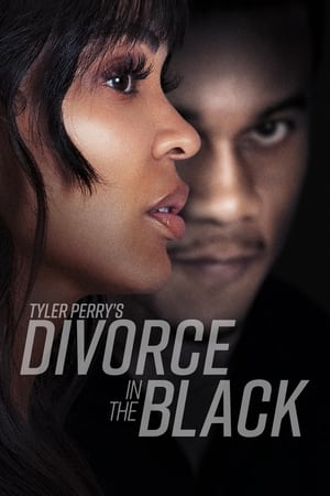Tyler Perry’s Divorce in the Black (2024) Hindi Dual Audio – 720p –
