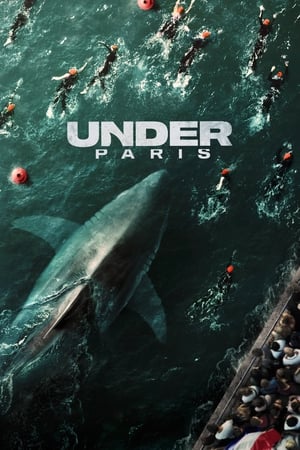 Under Paris 2024 Hindi Dual Audio – 720p –